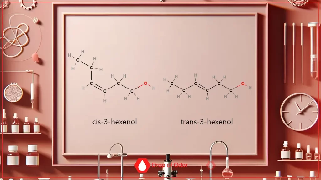 Chirality. Understanding Cis Trans Isomers
Cis and trans isomers are types of stereoisomers, which means they have the same molecular formula and the same connectivity of atoms but differ in the spatial arrangement of these atoms. This slight variation can lead to markedly different properties, even though they’re made up of the exact same atoms. The main difference between cis and trans isomers lies in the positioning of atoms or groups relative to a double bond.

In cis isomers, the similar atoms or functional groups are positioned on the same side of the double bond. Imagine two friends sitting side by side on a bench; this closeness often influences the molecule’s shape and its chemical properties, such as boiling point and solubility, which can affect how the molecule interacts with our scent receptors. In contrast, in trans isomers, these groups or atoms are on opposite sides of the double bond, akin to two people sitting on opposite ends of a seesaw, creating a more stretched and often less polar configuration.

The practical impact of these configurations is profound in perfumery, where the structure of a molecule can drastically alter its scent. The different spatial arrangements can cause these isomers to interact differently with the olfactory receptors in our nose, leading to distinct scents from molecules that are otherwise quite similar on paper. This intriguing aspect of chemistry beautifully illustrates how small changes at the molecular level can lead to significant differences in sensory experiences.