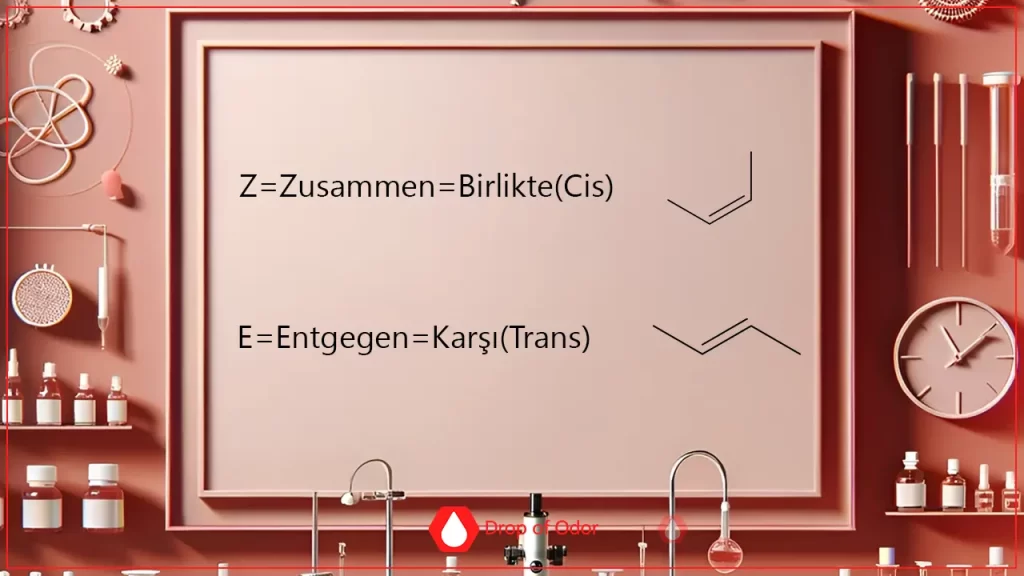 A framed chart in a stylized, pink lab setting displaying the conventions for E/Z isomerism in organic chemistry: Z stands for Zusammen (German for Together, equivalent to Cis) and E stands for Entgegen (German for Opposite, equivalent to Trans), illustrated with two chemical line structures.