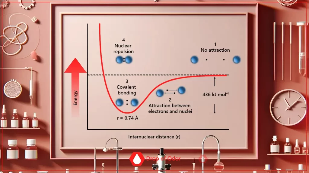 molecular orbitals. A framed graph in a stylized lab setting illustrating the potential energy curve for the formation of a covalent bond between two hydrogen atoms, showing the points of no attraction, attraction, optimal bond length (0.74 Å), and nuclear repulsion.
