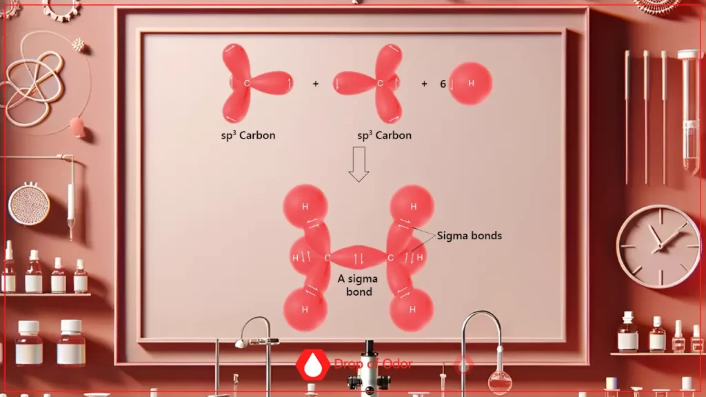 A framed diagram in a stylized lab setting illustrating the formation of an Ethane molecule (C2H6), showing two sp3 hybridized Carbon atoms bonding head-to-head to form a sigma bond, with surrounding Hydrogen atoms also forming sigma bonds.